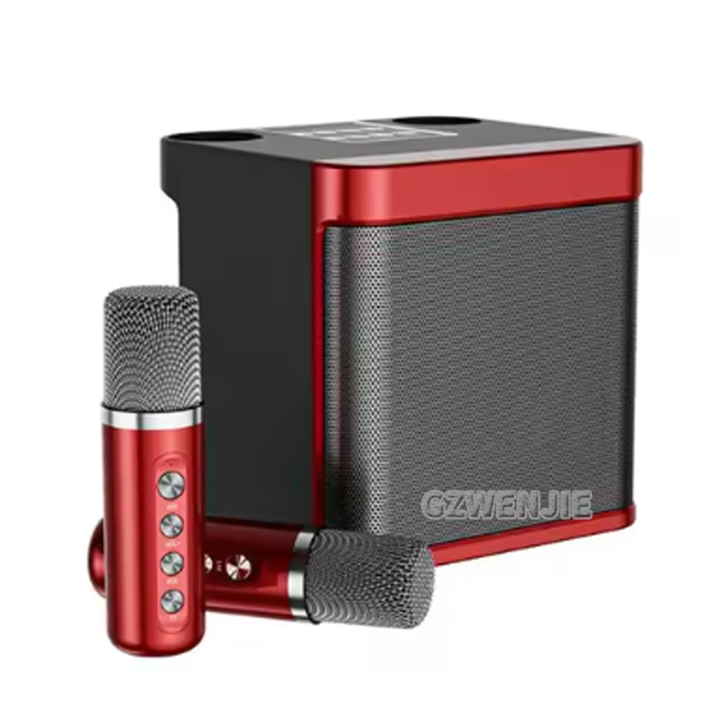 Karaoke Machine Portable With 2 Mic - Портативная караоке-система с двумя микрофонами для