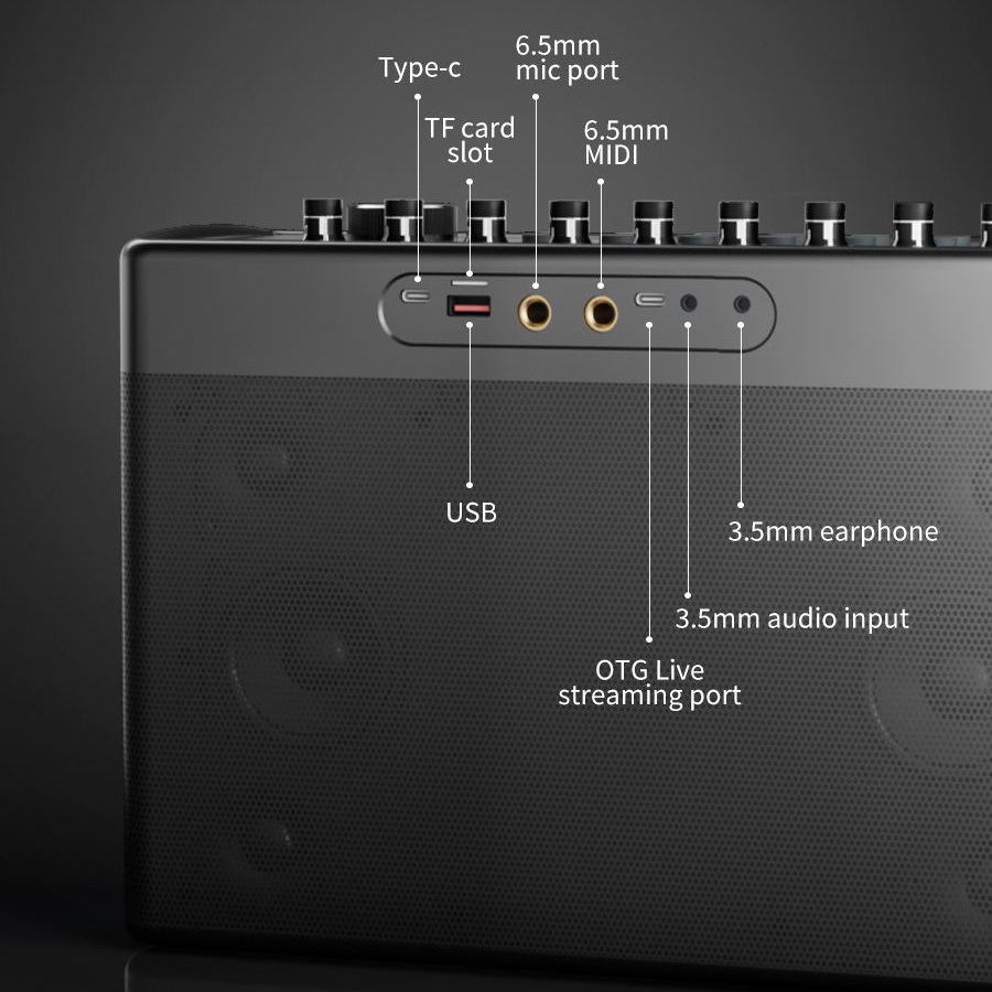 Портативная караоке-система S1 – обзор и цена Karaoke Machine Portable With 2 Mic