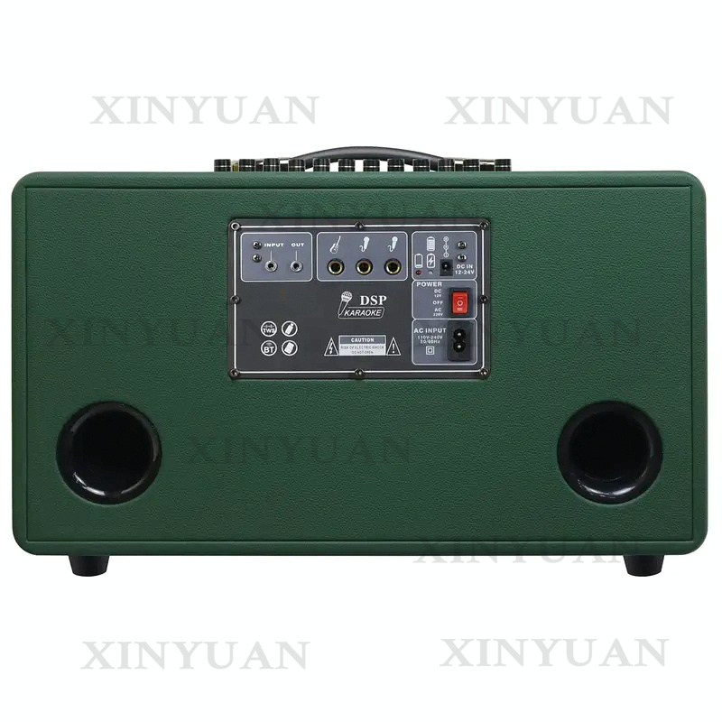 Караоке-колонка, 8-дюймовая де – обзор и цена Karaoke Speaker System 100W Rgb