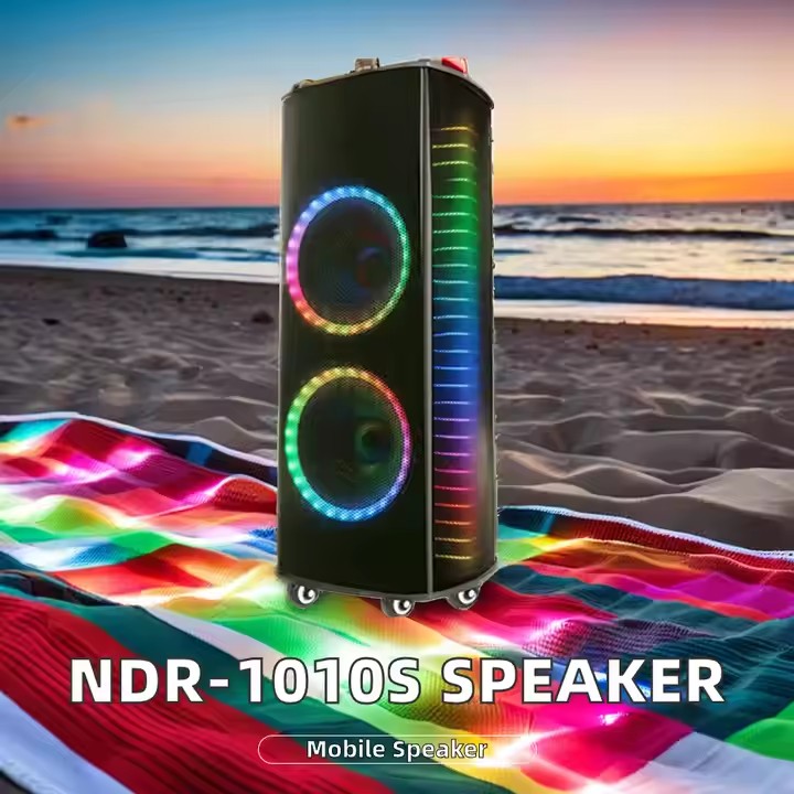 Домашний кинотеатр Ndr-1010S с – обзор и цена Karaoke Speaker System 100W Rgb