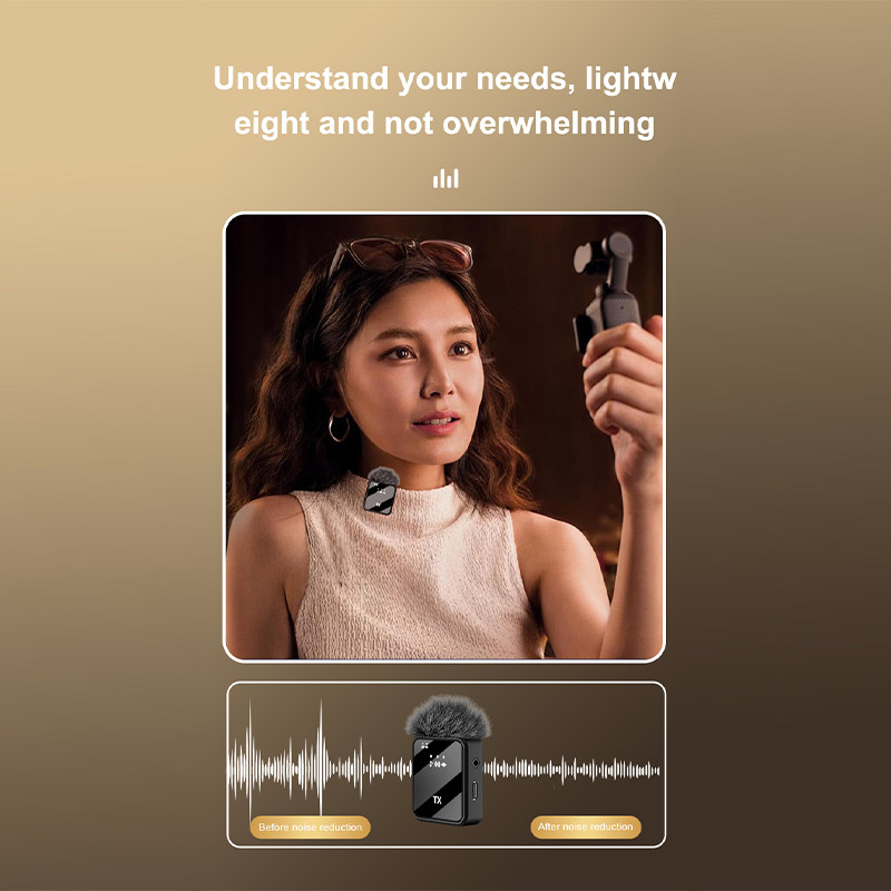 Беспроводной петличный микрофо – обзор и цена Wireless Lavalier Microphone Dual Receiver