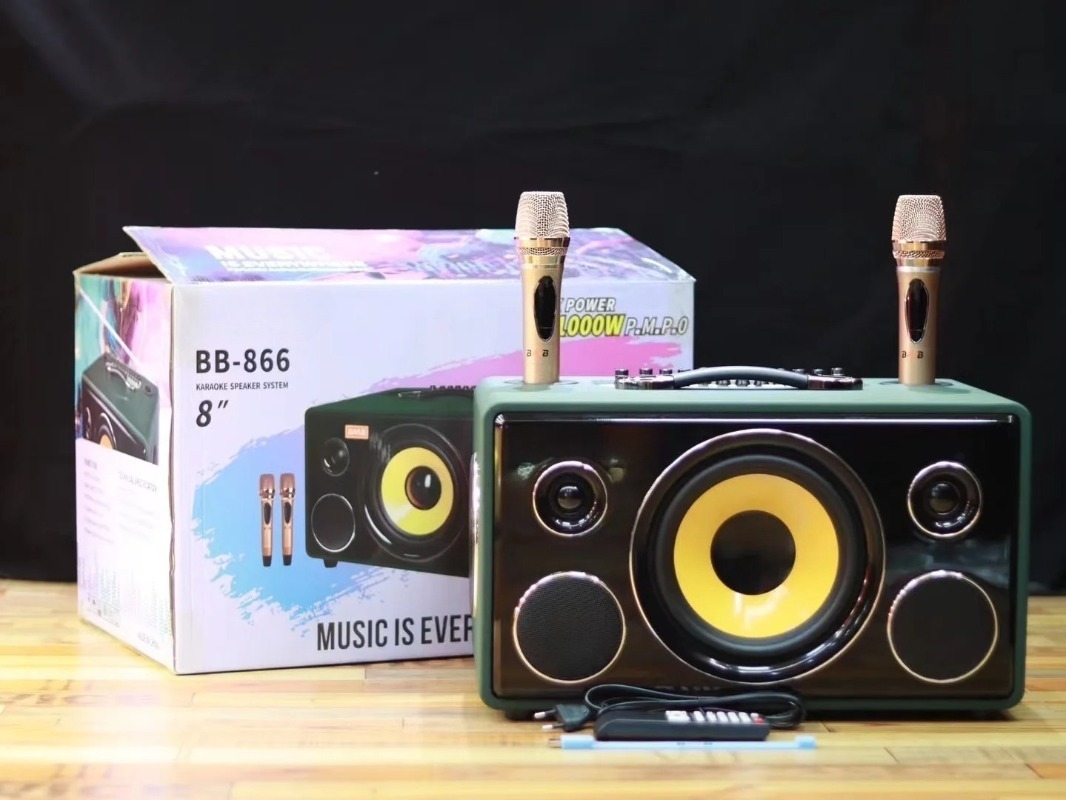 Профессиональная 8-дюймовая HI – обзор и цена Karaoke Speaker System 100W Rgb